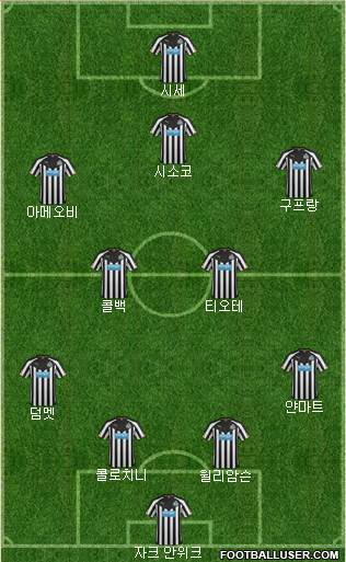 Newcastle United Formation 2014