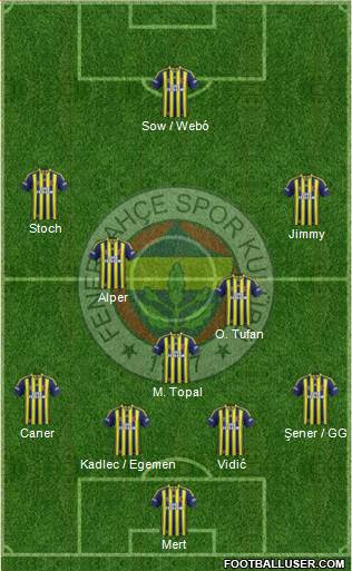 Fenerbahçe SK Formation 2014