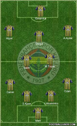 Fenerbahçe SK Formation 2014