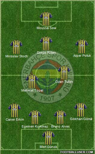 Fenerbahçe SK Formation 2014