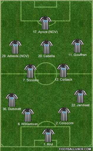 Newcastle United Formation 2014