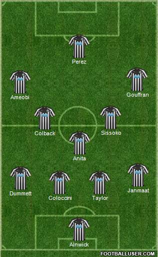 Newcastle United Formation 2014