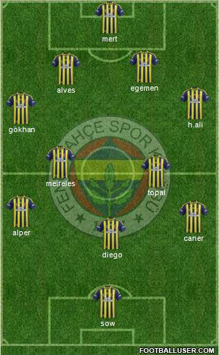 Fenerbahçe SK Formation 2014