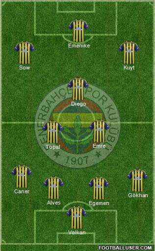 Fenerbahçe SK Formation 2014