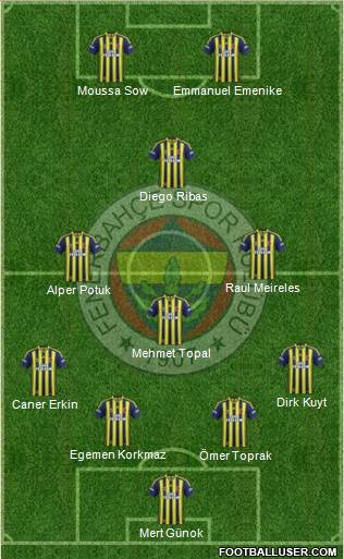 Fenerbahçe SK Formation 2014