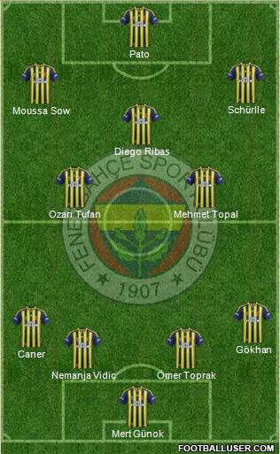 Fenerbahçe SK Formation 2014