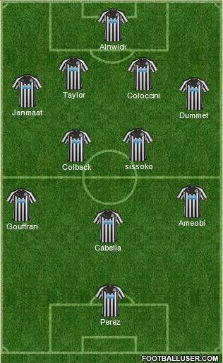 Newcastle United Formation 2014