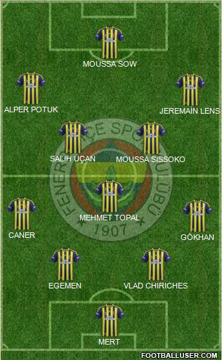 Fenerbahçe SK Formation 2014