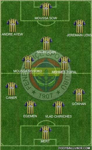 Fenerbahçe SK Formation 2014