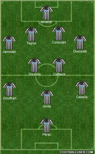 Newcastle United Formation 2014