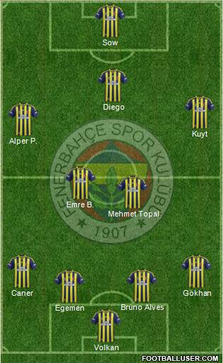 Fenerbahçe SK Formation 2014