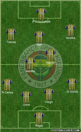 Fenerbahçe SK Formation 2014