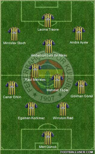 Fenerbahçe SK Formation 2014