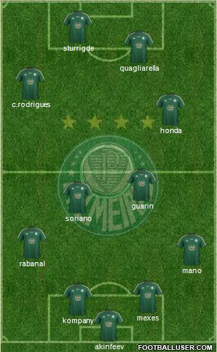 SE Palmeiras Formation 2014
