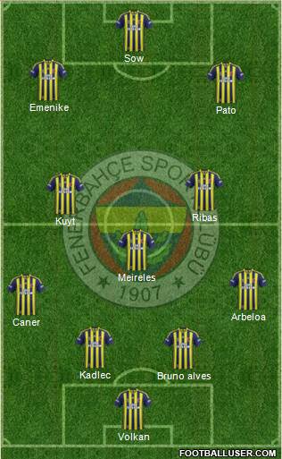 Fenerbahçe SK Formation 2014