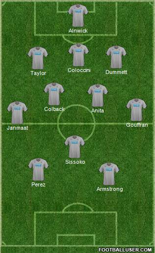 Newcastle United Formation 2014