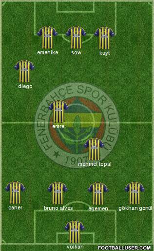 Fenerbahçe SK Formation 2014