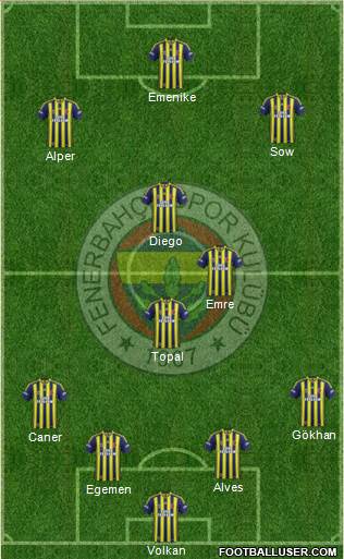 Fenerbahçe SK Formation 2014