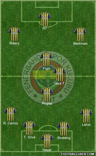 Fenerbahçe SK Formation 2014