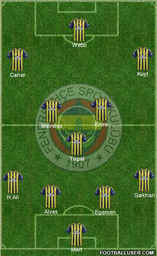 Fenerbahçe SK Formation 2014