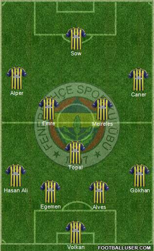 Fenerbahçe SK Formation 2014