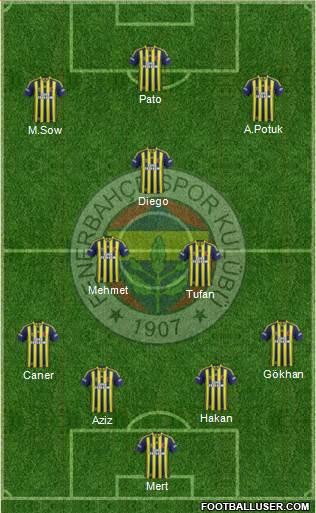 Fenerbahçe SK Formation 2014