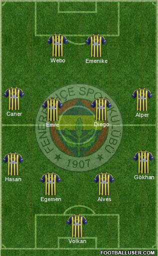 Fenerbahçe SK Formation 2014