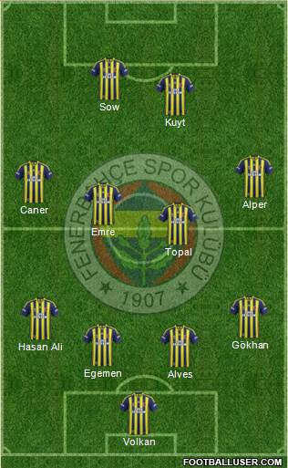 Fenerbahçe SK Formation 2014