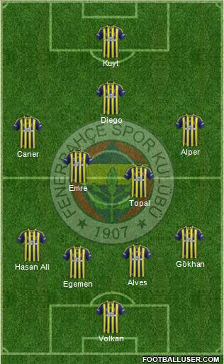 Fenerbahçe SK Formation 2014