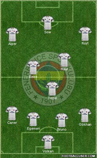 Fenerbahçe SK Formation 2014