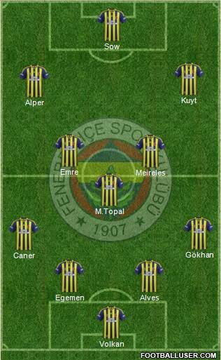 Fenerbahçe SK Formation 2014