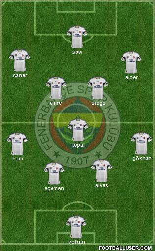 Fenerbahçe SK Formation 2014