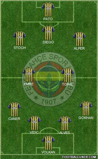 Fenerbahçe SK Formation 2014