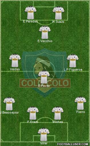 CSD Colo Colo Formation 2014