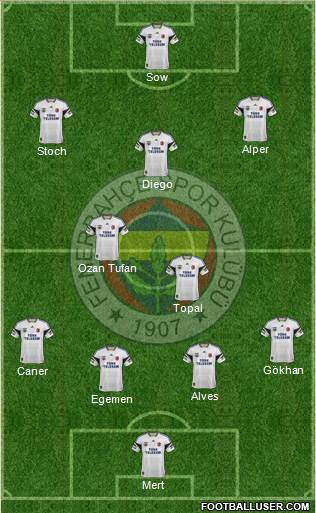 Fenerbahçe SK Formation 2014