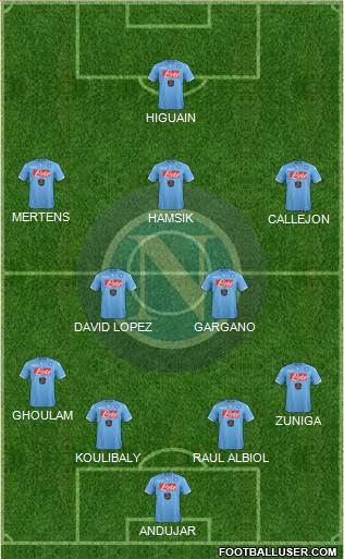 Napoli Formation 2014