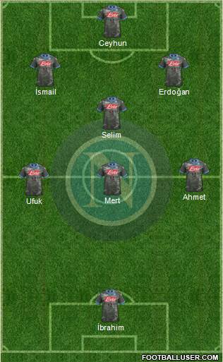 Napoli Formation 2014