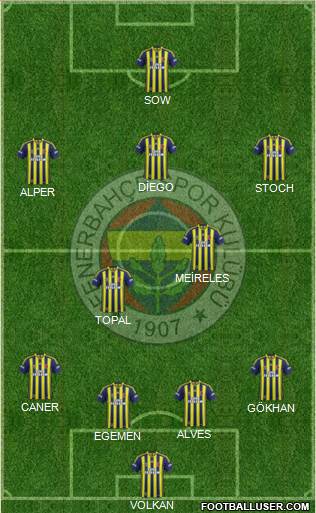 Fenerbahçe SK Formation 2014