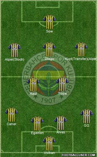 Fenerbahçe SK Formation 2014