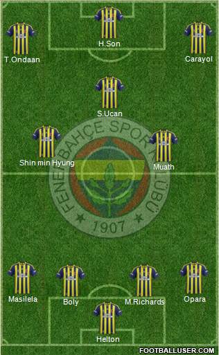 Fenerbahçe SK Formation 2014