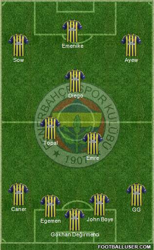 Fenerbahçe SK Formation 2014