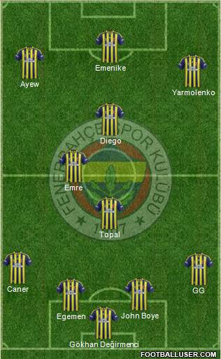 Fenerbahçe SK Formation 2014