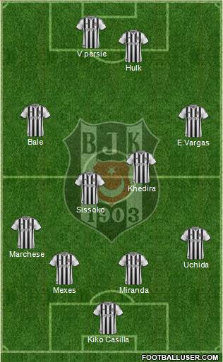 Besiktas JK Formation 2014