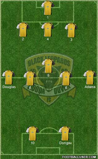 Black Leopards Formation 2014