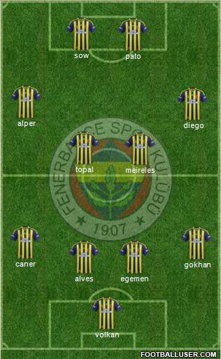 Fenerbahçe SK Formation 2014