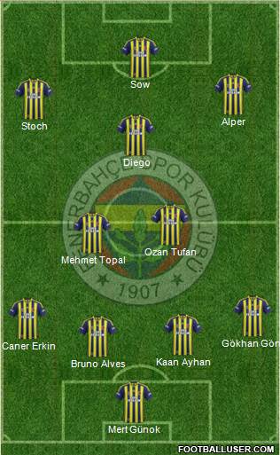 Fenerbahçe SK Formation 2014