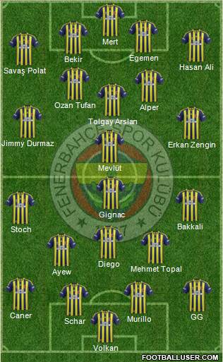 Fenerbahçe SK Formation 2014