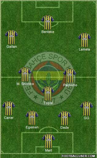 Fenerbahçe SK Formation 2014