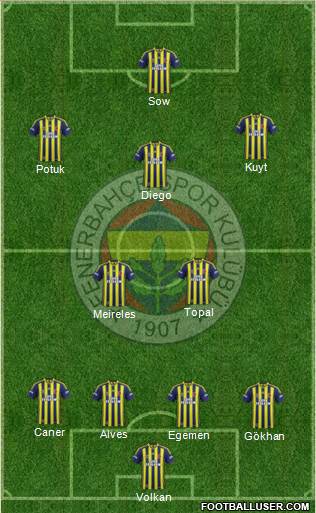 Fenerbahçe SK Formation 2015