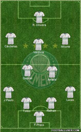 SE Palmeiras Formation 2015